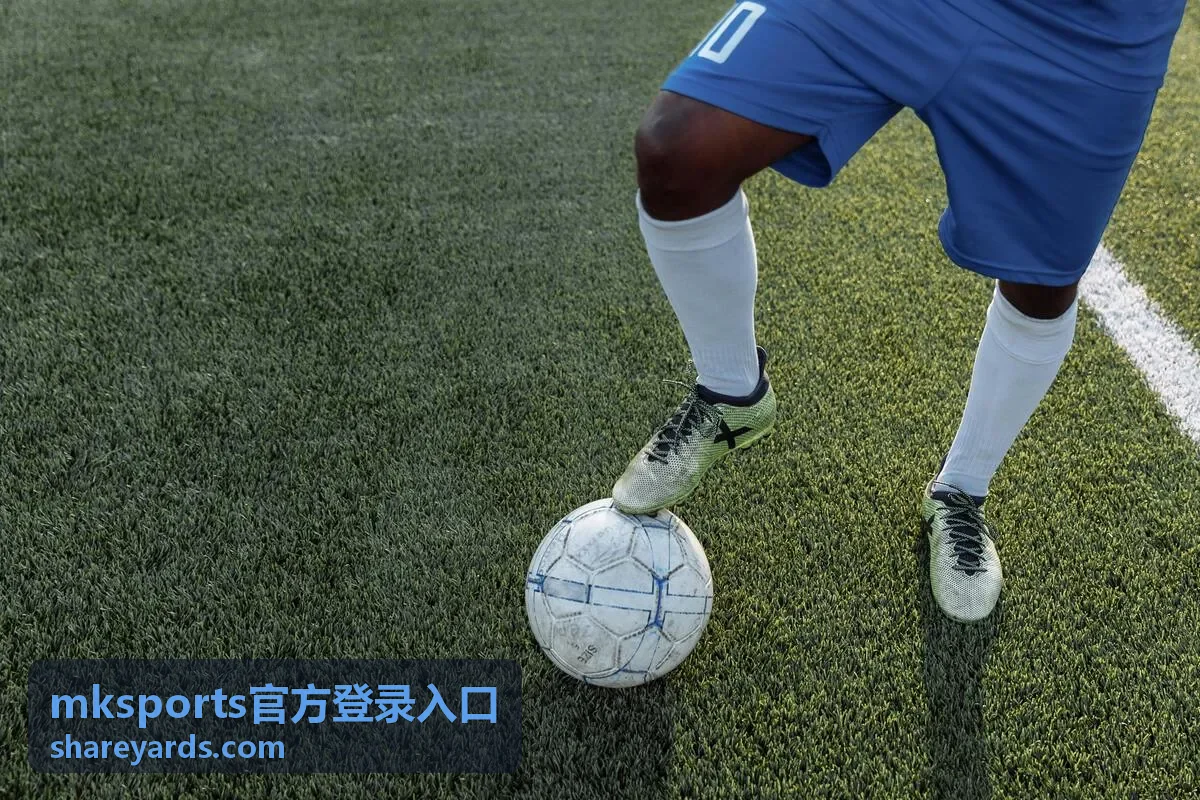 mksports官方登录入口地址核对演示画面
