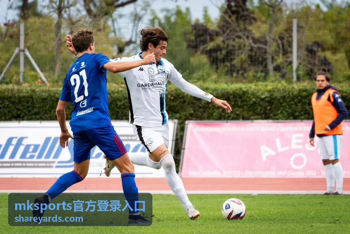 mksports官方登录入口账号安全设置示意
