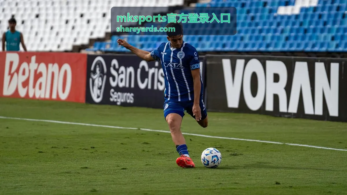 mksports官方登录入口登录反馈处理示意